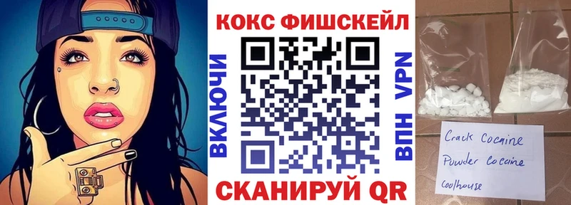 закладка  darknet телеграм  Кокаин Fish Scale  Краснослободск 