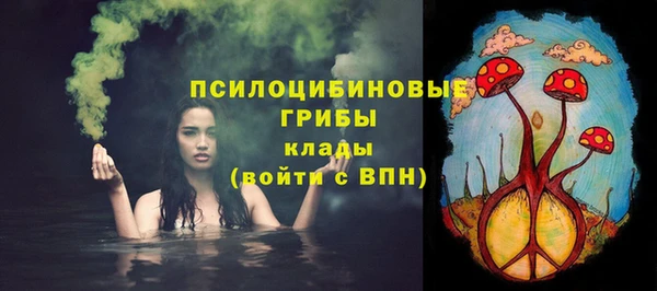 молекула духа Армянск