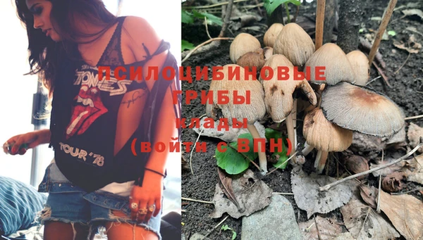 молекула духа Армянск
