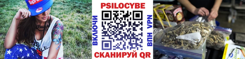Галлюциногенные грибы Psilocybe  Краснослободск 